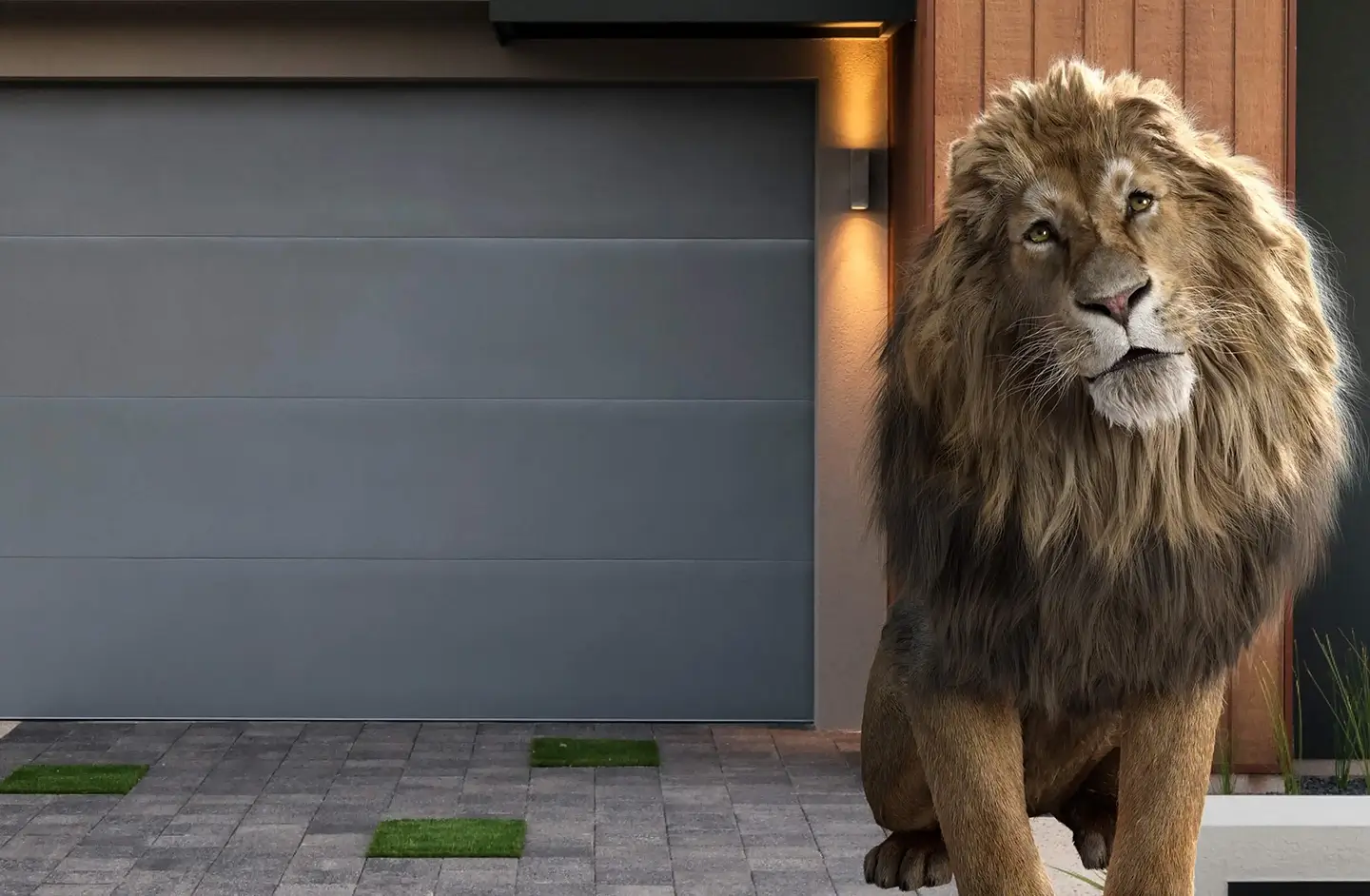 Lion standing in front of a house and sectional garage door